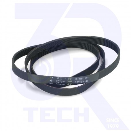 CINGHIA L=1181 MM H8 ELASTICA