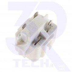 PTC 2019/B CON MOLLA