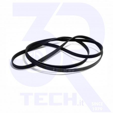 CINGHIA 1951 H7 LAV (BLH767UN)