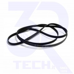 CINGHIA 1951 H7 LAV (BLH767UN)