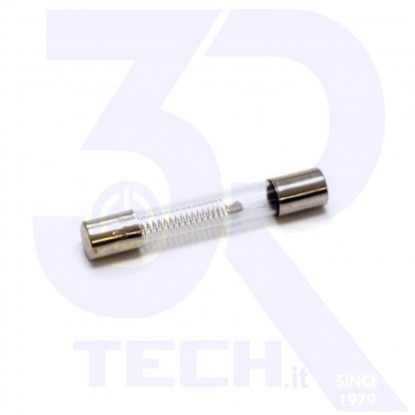 FUSIBILE 6X40MM 0.8A MICROONDE