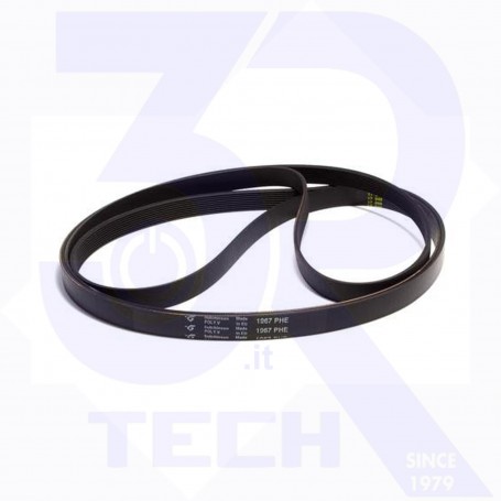 CINGHIA 1967 H9 ASC (BLH787UN)