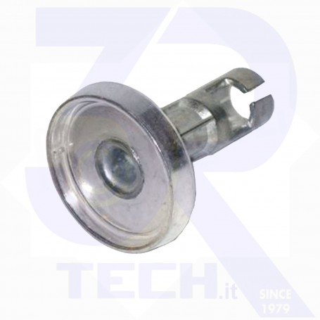 BRUCIAT. MEDIO NARDI