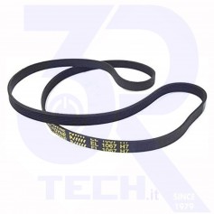 CINGHIA 1067 H7