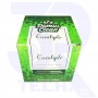 GRANULI DEODORANTI 6PZ EUCALIPTO ASPIRAPOLVERE